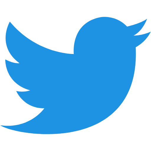 Twitter (X)